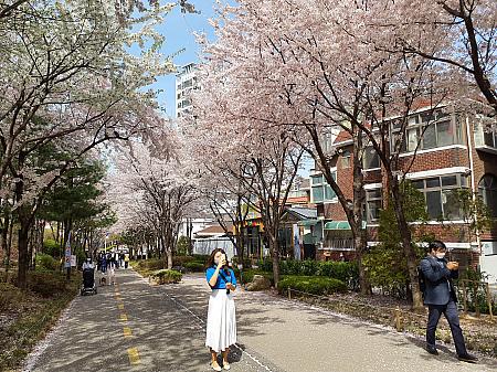 鎮海観光－ソウルナビ