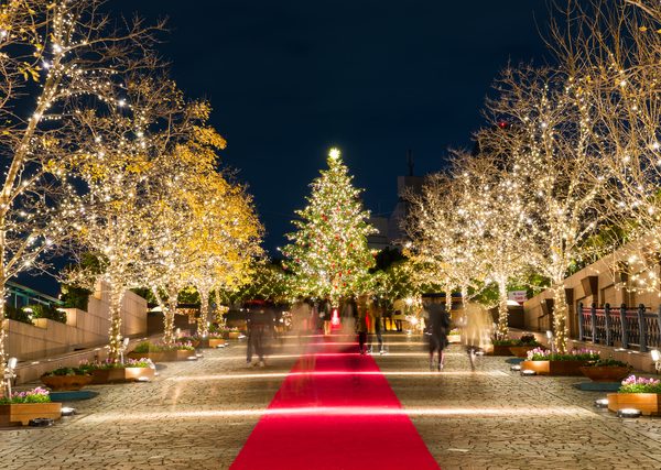 世界のクリスマス写真集 60ヶ国地域以上掲載 』札幌 北海道 の旅行記・ブログ by こぼちゃさん フォートラベル