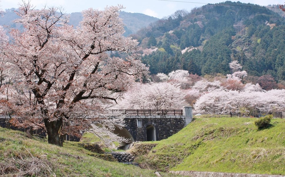 霞桜会館 から近くて安い駐車場特Pとくぴー