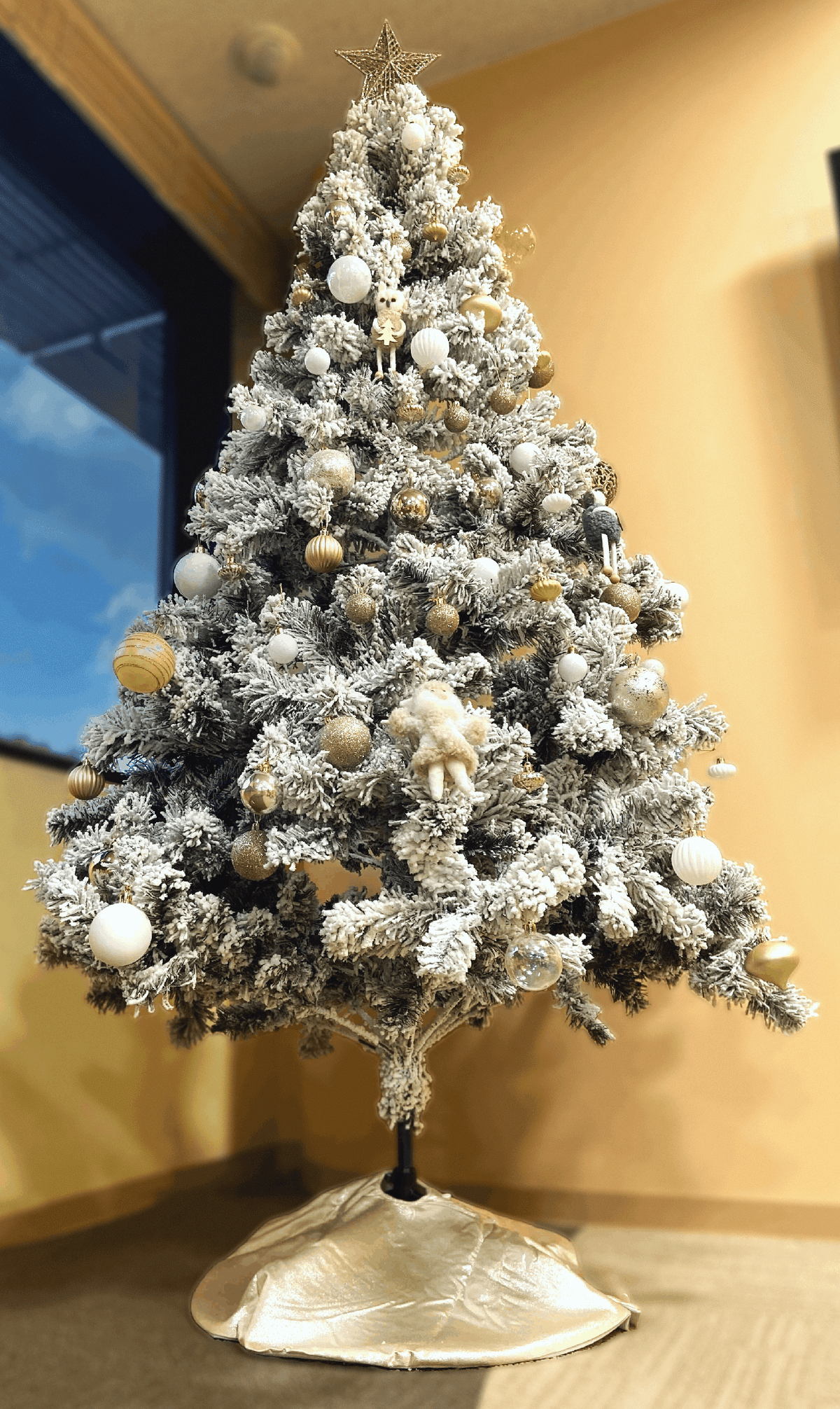 季節 なぜ、クリスマスにはクリスマスツリーを飾るの？ - ココフル