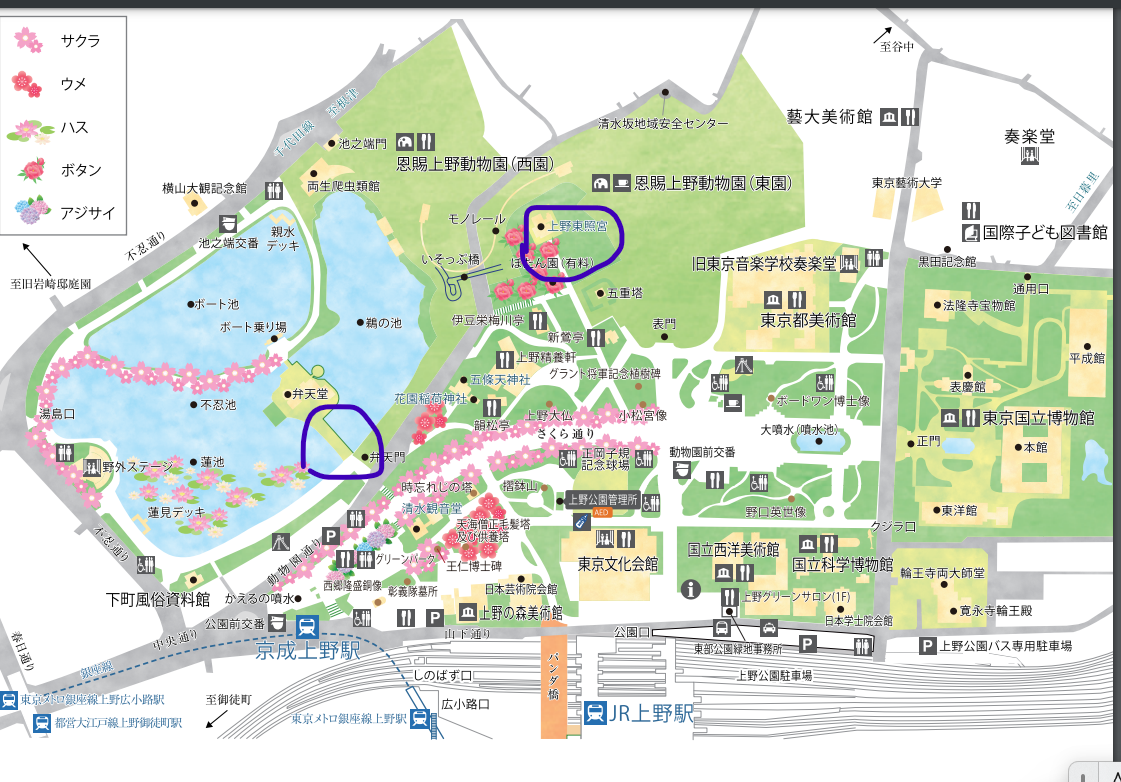 万歩計 散策点描 東京、横浜の桜並木探訪 ４部作H2304 谷中霊園～上野公園～隅田公園～東京スカイツリー散策H230407 上野公園～桜並木～上野駅上野東照宮～桜並木～上野駅