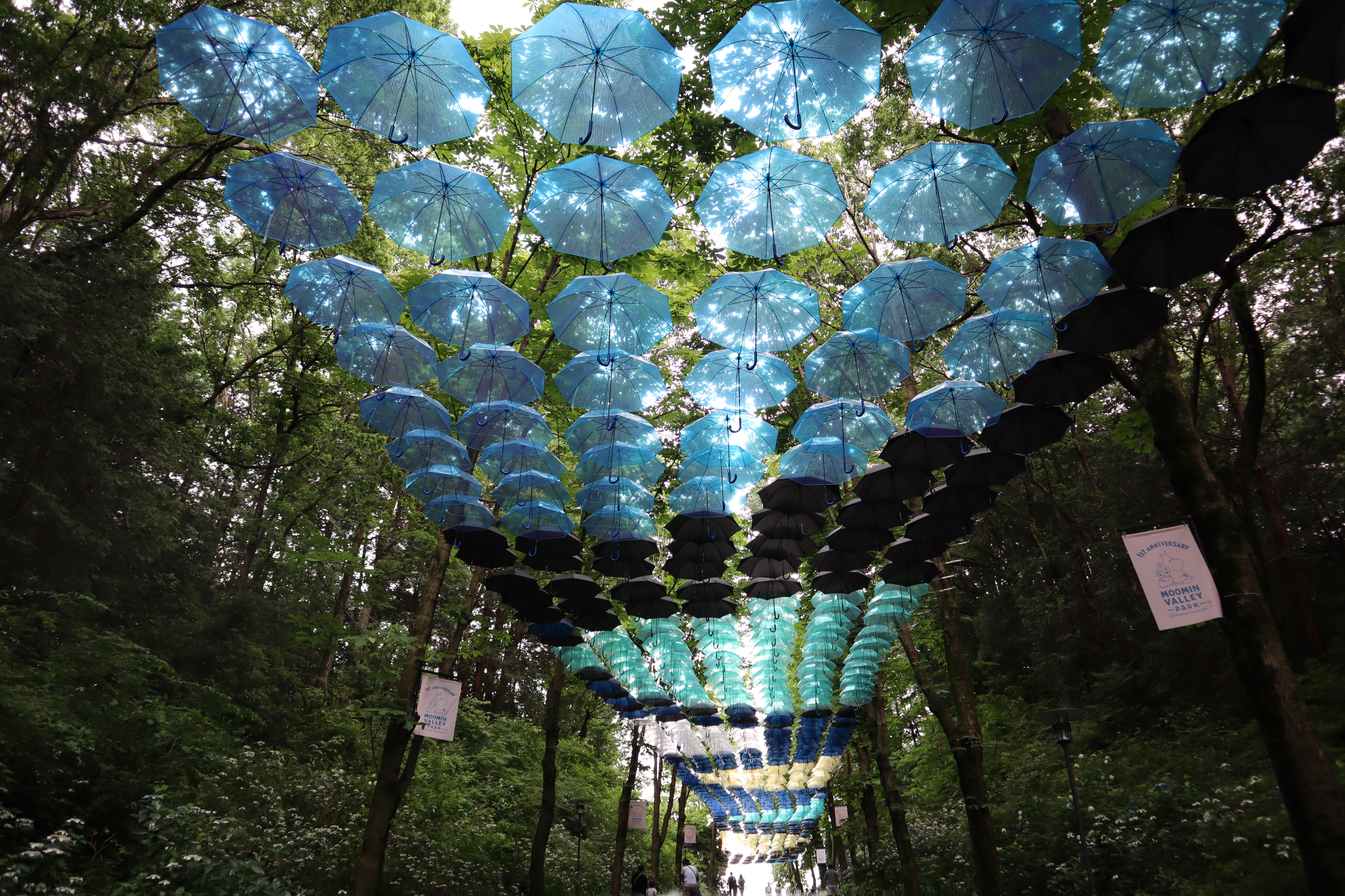 関西・近畿 インスタ映え 大人向けの 子供の遊び場・お出かけスポットいこーよ