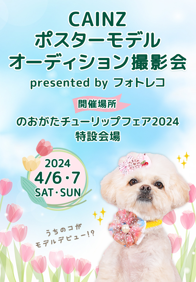 イベント 3 30～4 7 20万本のチューリップが咲き誇る‼『のおがたチューリップフェア』 直方市 福岡・佐賀 週末楽しむニュースマガジンジモタイムズ・九州朝日放送
