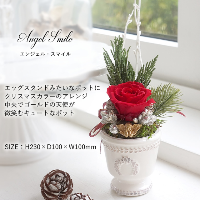 プリザーブドフラワー クリスマスアレンジ - スマートギフト