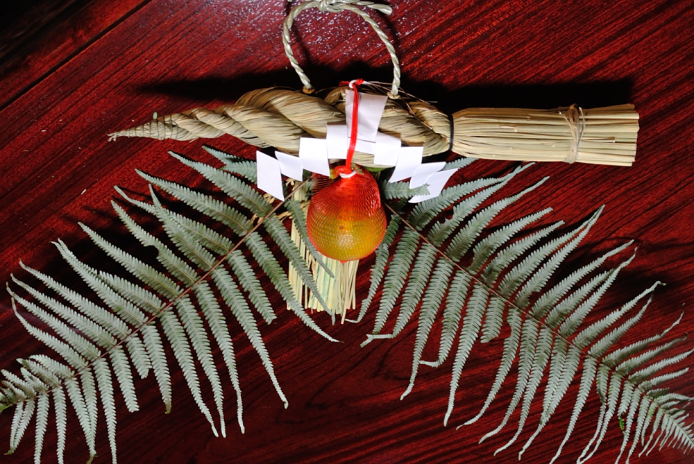 『ドライ 裏白』自分で 作ってみる！正月 お飾り 作り ウラジロの丸まりを防ぐ