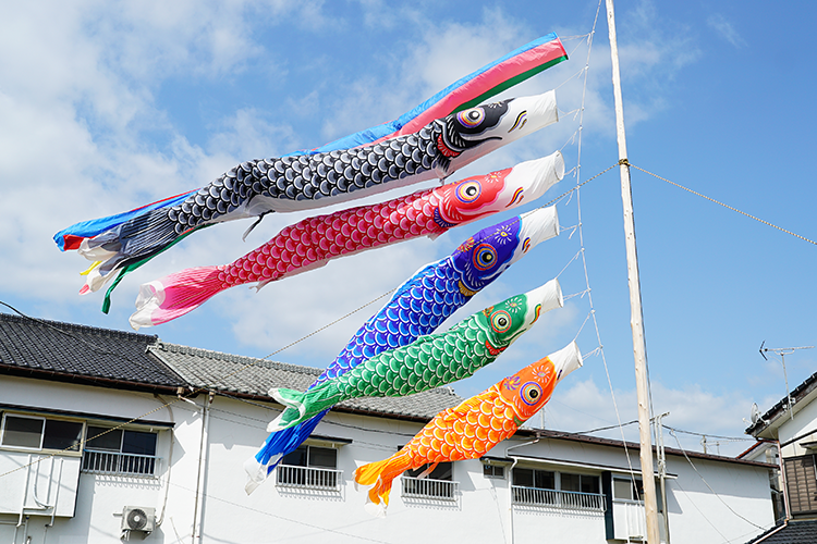 端午の節句 こどもの日 鯉のぼりのイラスト＜矢車 吹き流し 真鯉 緋鯉 子鯉＞無料フリーイラスト素材集 Frame illust