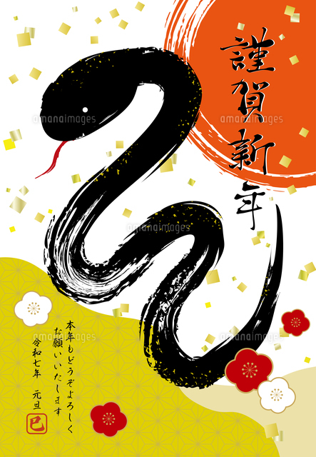 2025年の巳年のイラストの年賀状はがき素材209632320- イメージマート