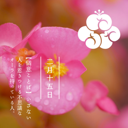 その日の紋「バースデーシンボル」 - 366日の花個紋