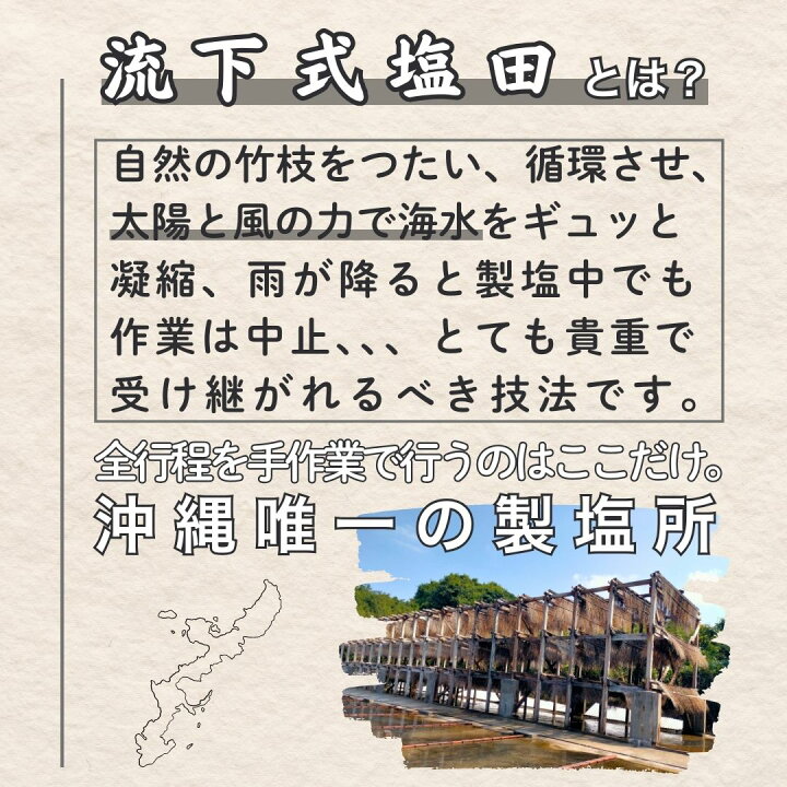 やまゆり感謝祭2024秋 - やまゆり生活協同組合