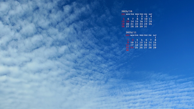 楽天市場 結婚式 手紙 両親 便箋 はね 1ページ 楽天ランキング1位 花嫁の手紙台紙 新郎 新婦 友人 友達 兄弟 姉 挨拶 感謝 レターセットスピーチ メッセージ エピソード 台紙 お礼 妻へ 手渡し 渡す 文章 花嫁 プレゼント 感謝の手紙 送料無料 日本製 : アルバム屋