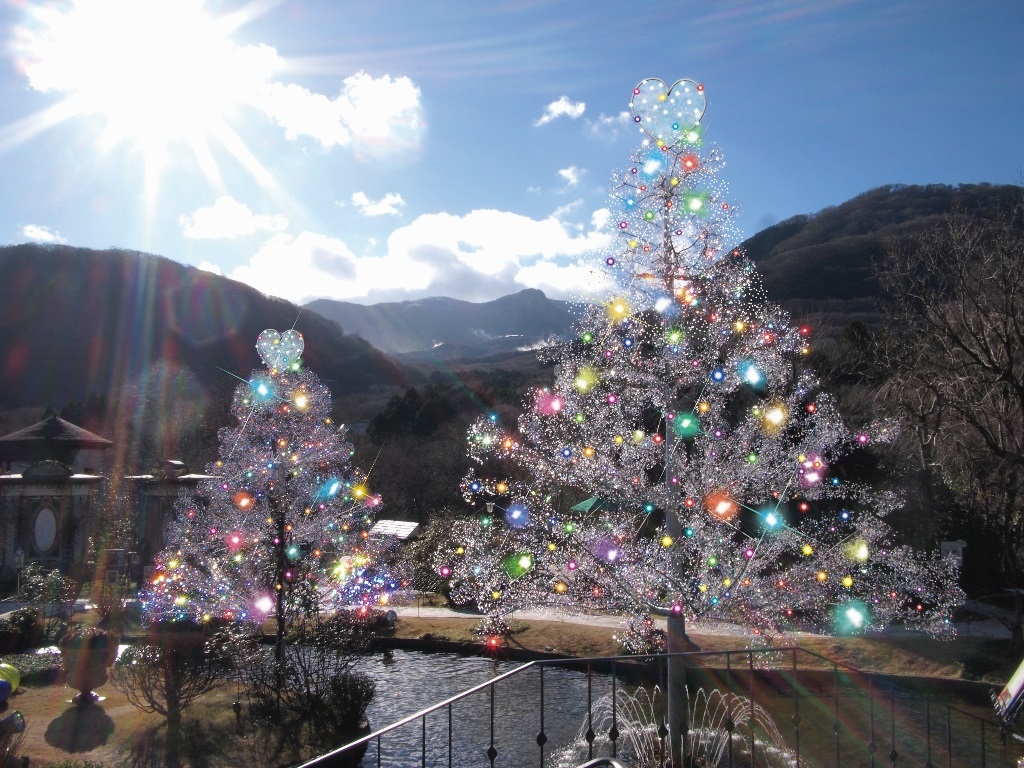 きらめくロミオとジュリエット 箱根にクリスマスツリー話題カナロコ by 神奈川新聞