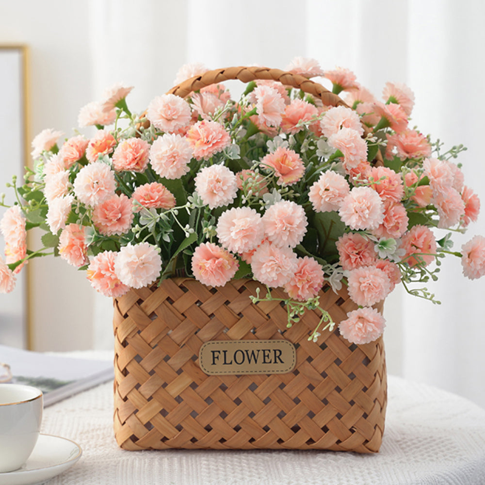 カーネーション生花 海外生産・輸入事業のご案内オーシャン貿易株式会社