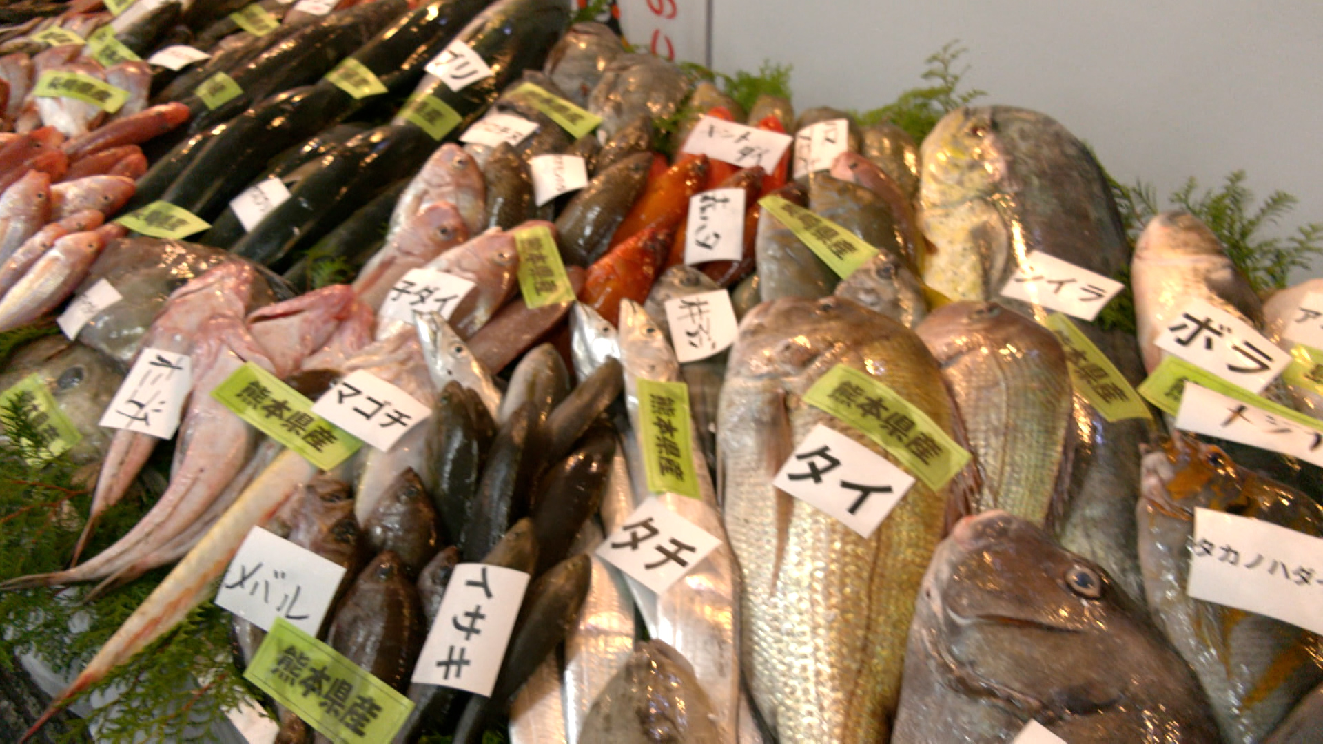 12 12 火 21:50～ ４年ぶりの開催！田崎市場感謝祭 KABでOA！海と日本PROJECT in 熊本