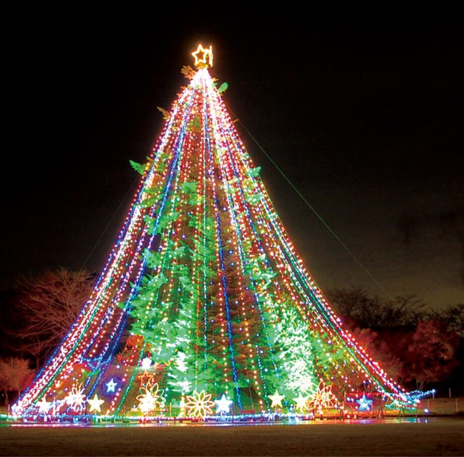 宮ヶ瀬ダムの美しいイルミネーション体験