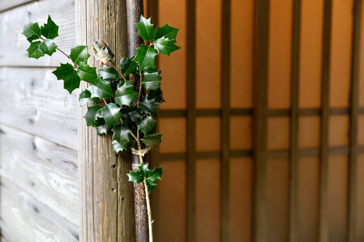 節分のイラスト 柊鰯- イラストくん