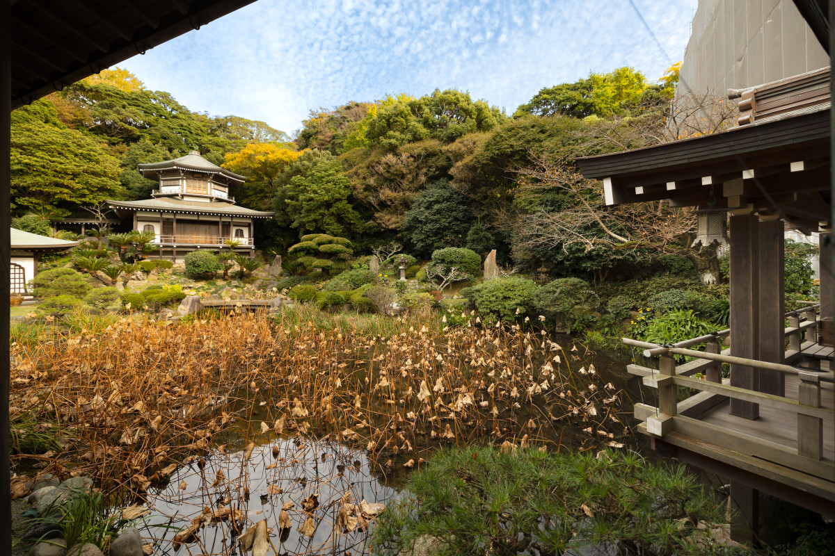 浄土宗大本山光明寺@komyoji_kamakura· Kamakura-shi, Kanagawa
