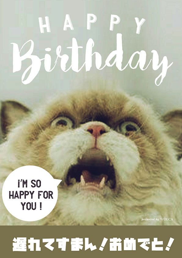 誕生日おめでとう！ハッピーバースデーソング！グリーティングカード動画でお祝い🥂
