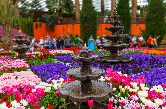 面白いハイランドカウシャワーカーテン バスルーム装飾用 ティールファーム ティールデイジーフローラルフラワーと蝶 カントリー木製ファシンガポール・ガーデンズバイザベイ「ディズニーガーデンオブワンダー＠フローラルファンタジー」チケット