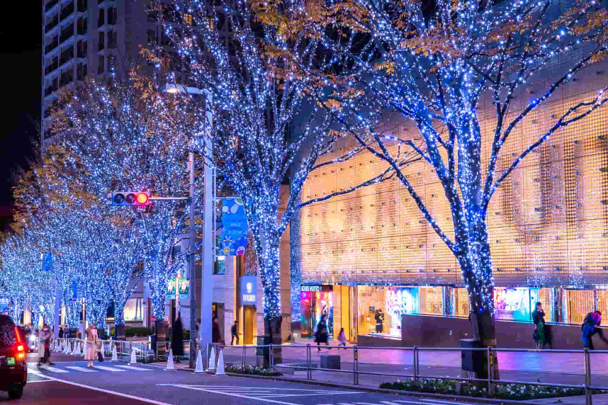 2024-2025年最新 イルミネーション図鑑 東京 冬のクリスマスデートを彩る - OZmall