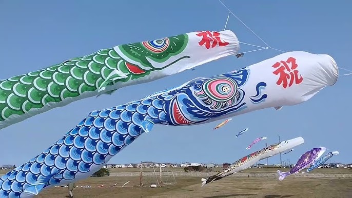 端午の節句掛軸掛け軸鯉のぼり 田所悠竹尺三立 約横45×縦164cm g4066 端午の節句 初節句 子供の日 こいのぼり 昇鯉 登竜門開運 縁起 : 結納屋さん - 通販 - Yahoo!ショッピング