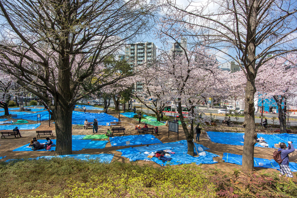 お花見～ in上野公園🌸 – 株式会社シビルエンジニアリング