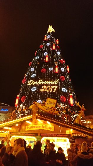 クリスマスツリーはいつ、どこで生まれたのか？ナショナル ジオグラフィック日本版サイト