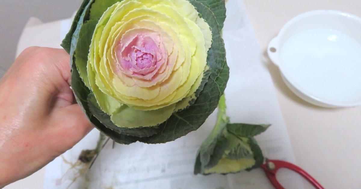 喪中でも正月花を飾る秋峰