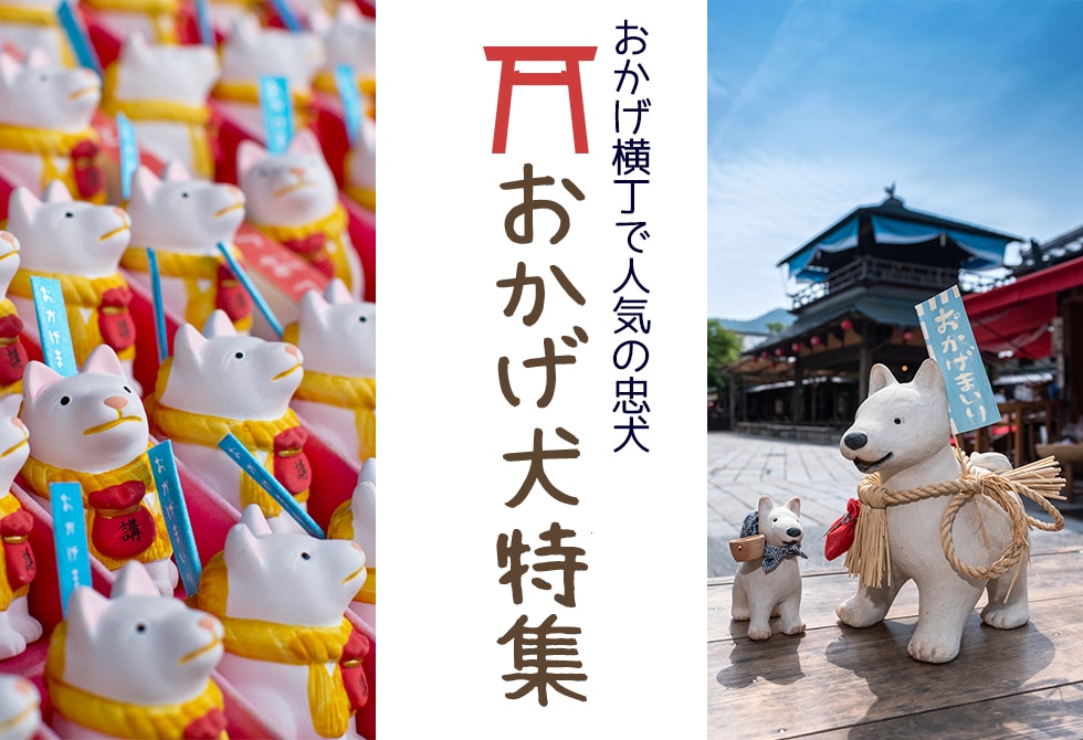 お伊勢参りとお蔭参りの違い・お蔭参りとは 三重県mocharina 着ぐるみ脱いで旅