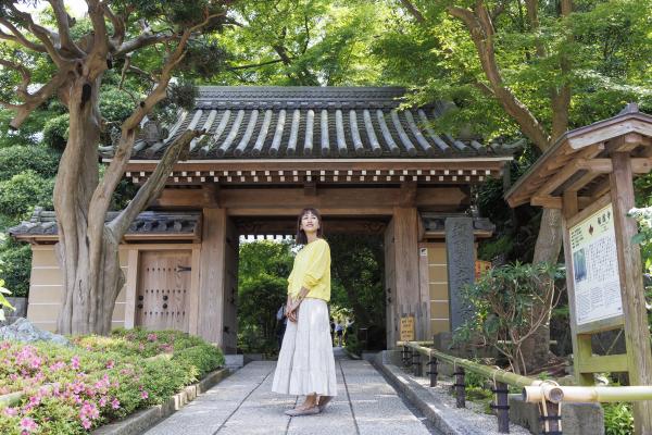 竹林を眺めに報国寺へいつも夫婦でおでかけ日記