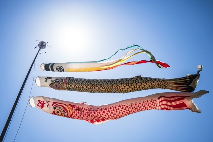 イタミアート 端午の節句青 こいのぼりのぼり旗 0180482IN 直送品- アスクル