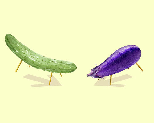 お盆に飾る精霊馬の意味とは？正しい作り方や飾り方・処分方法も紹介株式会社アミナコレクション