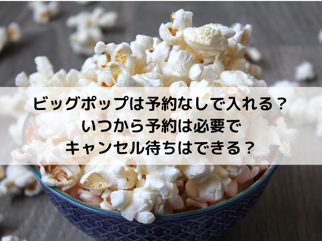 ディズニー ディズニーリゾート JAL JALパック ポップコーン バケット 引換券 ディズニーランド ディズニー シーYahoo!フリマ 旧PayPayフリマ