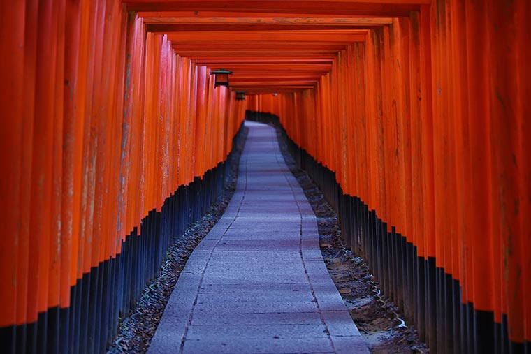 タウン情報 詳細