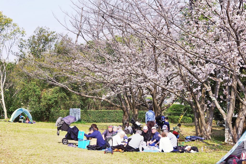 映画プリキュアドリームスターズ！』、桜満開の花見スチールを公開マイナビニュース