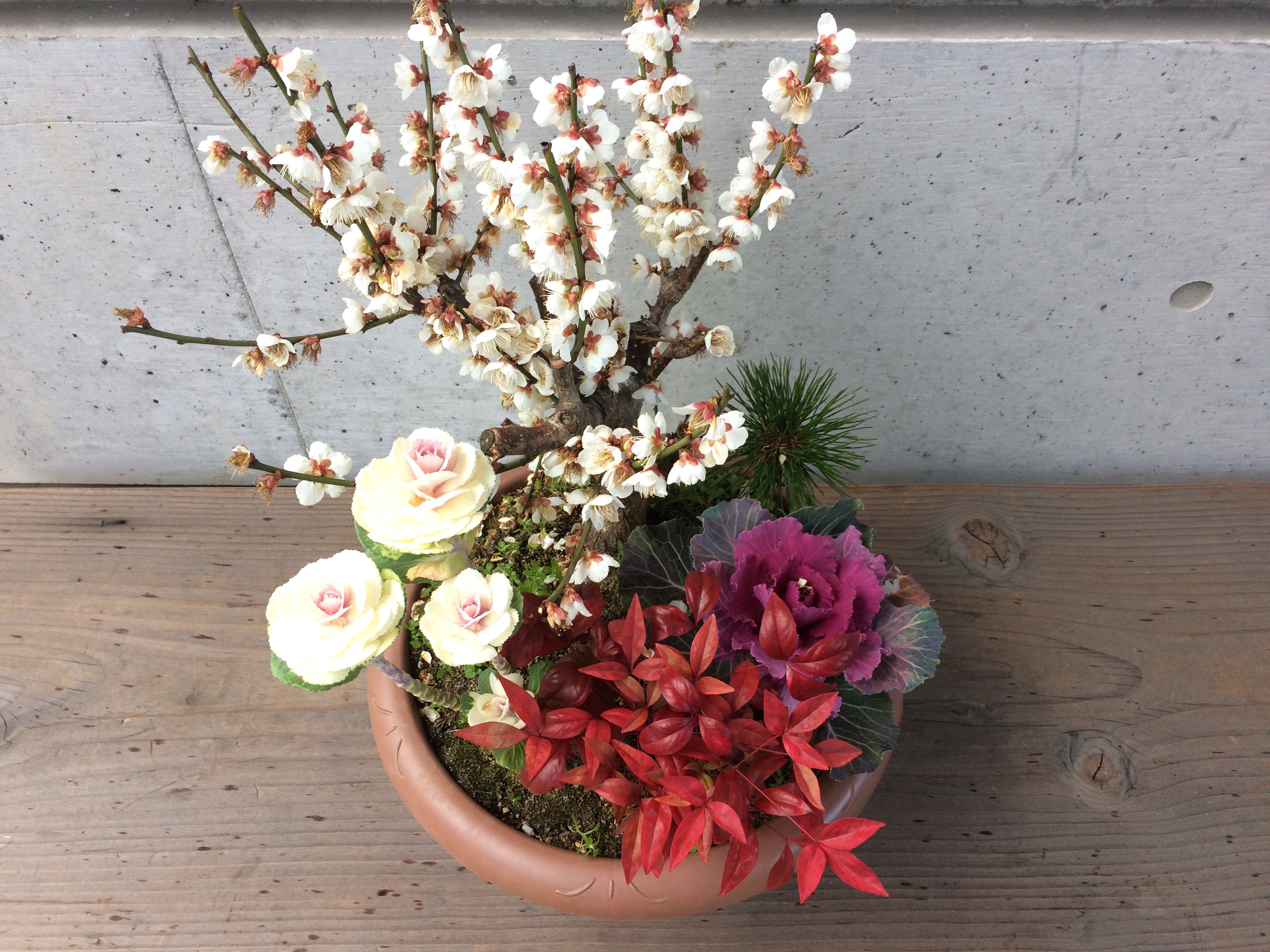 正月の寄せ植えで新年を祝う！おすすめ花材と作り方GardenStoryガーデンストーリー