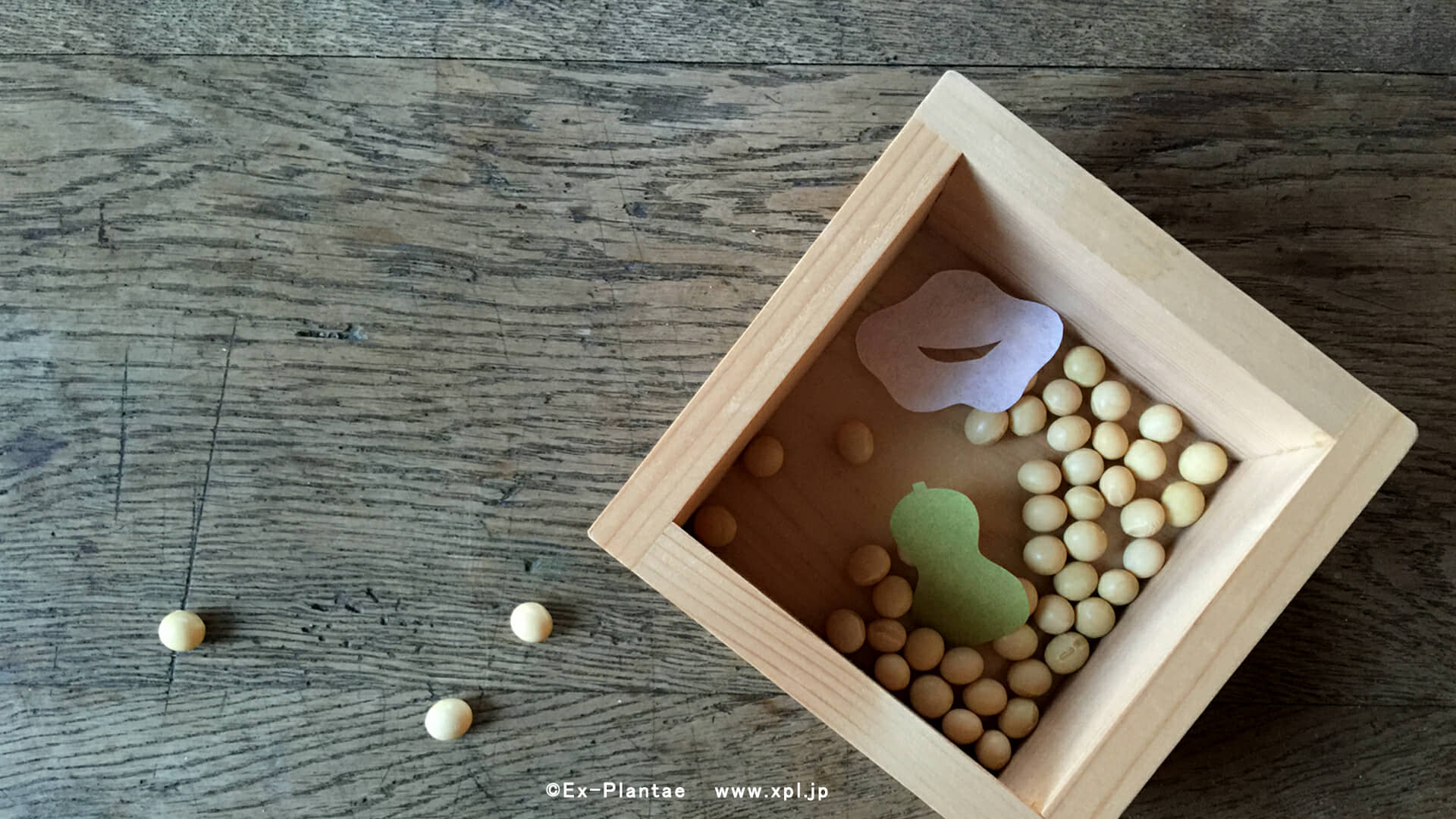 節分 背景」の3769点のロイヤリティフリー画像、写真素材、絵Shutterstock