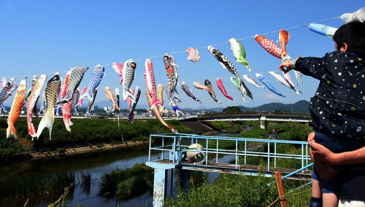 鈴川の鯉のぼり祭りの写真素材 - PIXTA