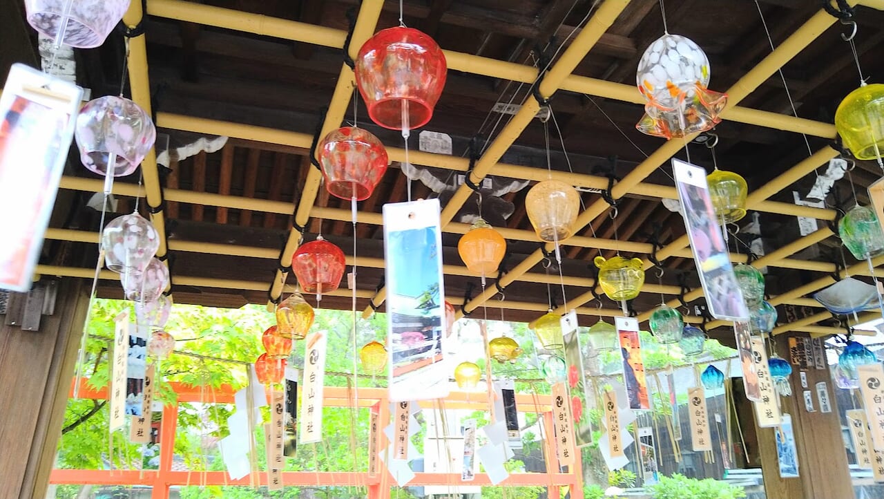 白山さまの夏詣新潟総鎮守 白山神社