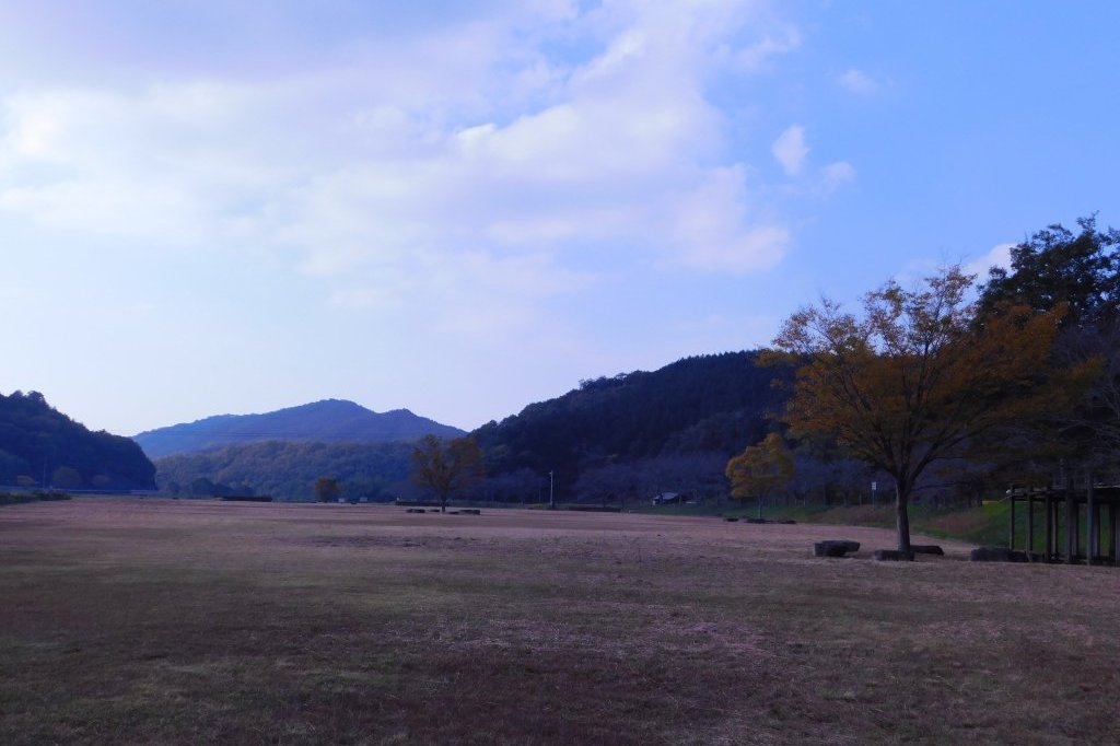 トトロ」テーマに手づくりイルミネーション 大分・臼杵の漁民広場毎日新聞