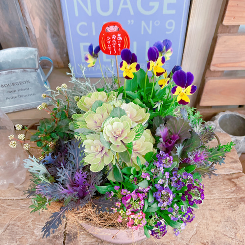 お正月寄せ植えに挑戦! valor-navi バローナビ