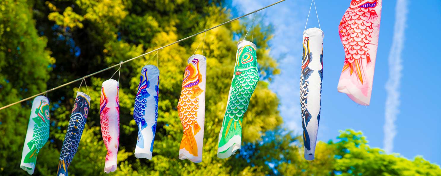 泳げ鯉のぼり相模川