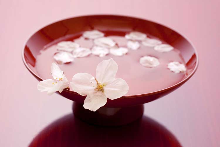 お花見に欠かせない飲み物＆食べ物といえば - ITmedia ビジネスオンライン