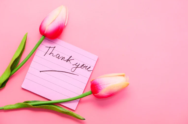 敬老の日に、とっておきのタオルを。おぼろタオル株式會社