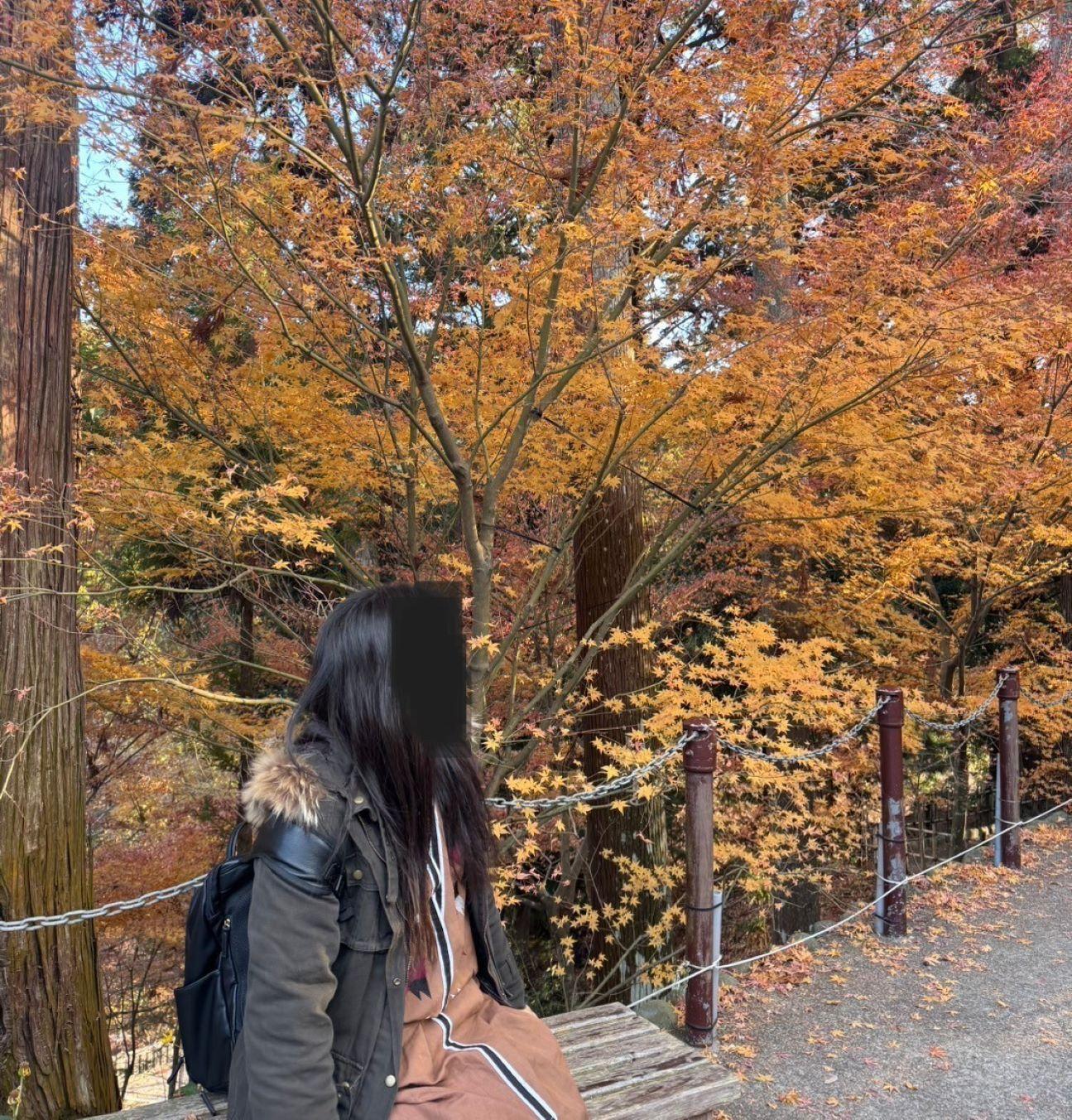 初詣：法多山XVA・休日の撮影記録