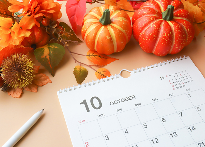 2025年ハロウィンはいつから？飾り・仮装・食べ物で盛り上げる準備を！Giftpedia byギフトモール&アニ