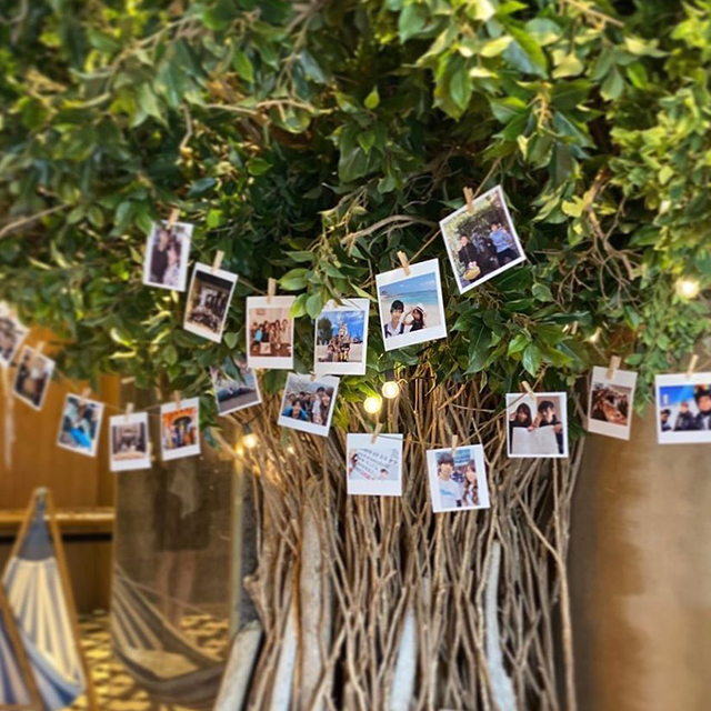 ウェルカムツリーご紹介します。今すくCheckDRESSY 公式 ウェディングドレス・ファッション・エンタメニュース