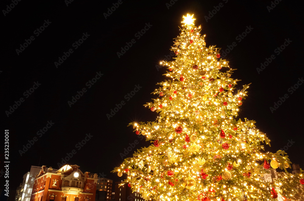 恵比寿ガーデンプレイスのイルミネーションを見た後に寄りたい、クリスマスディナーの店４選 │ ヒトサラマガジン