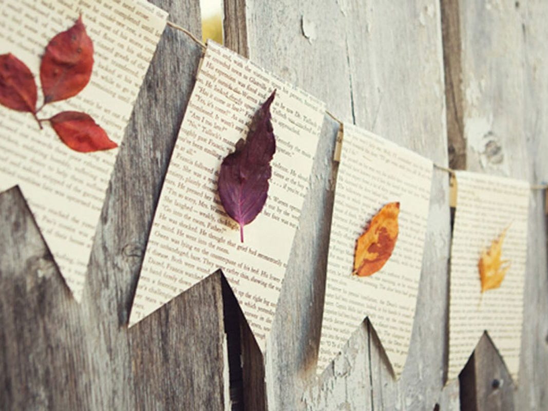 簡単✨折り紙 紅葉🍁楓の作り方 オシャレ 秋の壁面飾り🍂落ち葉・枯れ葉DIY How to make paper maple.leaf.paper craft