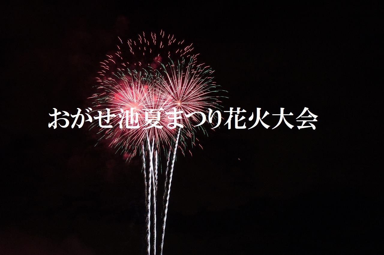 第37回 おがせ池夏まつり花火大会 各務原市 の日程・開催情報 - 花火大会2025 - ウォーカープラス