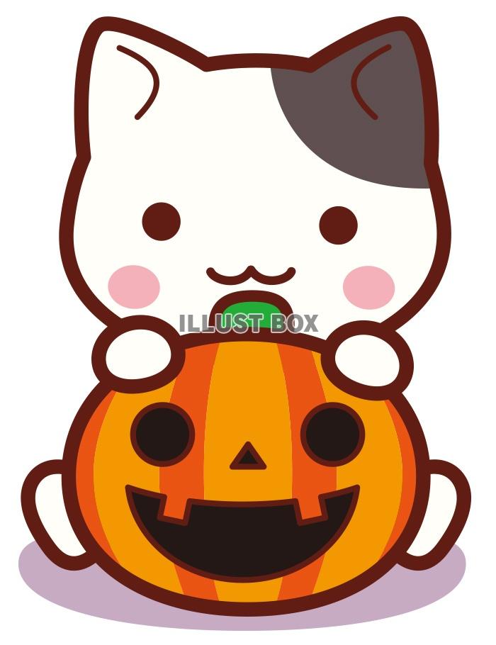 黒猫のハロウィンイラストハロウィンにぴったりなかぼちゃと黒猫のイラストです。 イラスト全般 つなぐ